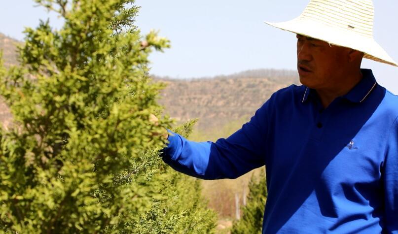 支書(shū)馬寧源：前渠村的“林老板”