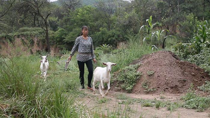 你好，新生活再見，舊窯洞——劉會玲的幸福日子