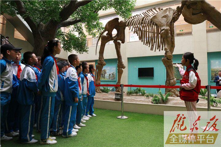 【第一眼】慶陽(yáng)市博物館開(kāi)展多項(xiàng)活動(dòng)慶?！?·18國(guó)際博物館日”