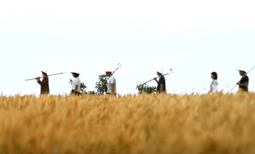 【脫貧攻堅(jiān)第一線】看環(huán)縣關(guān)營(yíng)村，花海、火龍果、生態(tài)雞、醬香驢……體驗(yàn)走