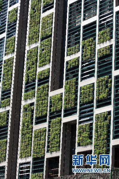 【防疫科普】如何利用園藝療法保持復(fù)工后身心健康？