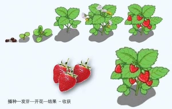 【防疫科普】如何利用園藝療法保持復(fù)工后身心健康？