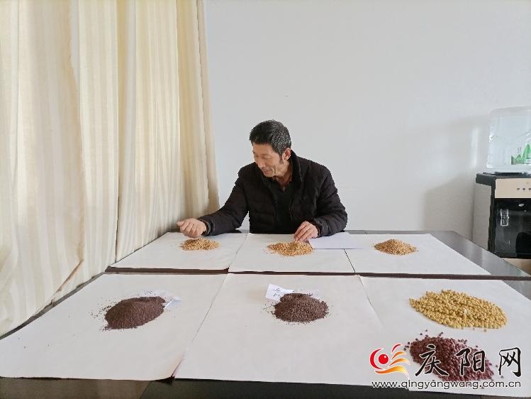 羅盤(pán)在整理自己育種的品種