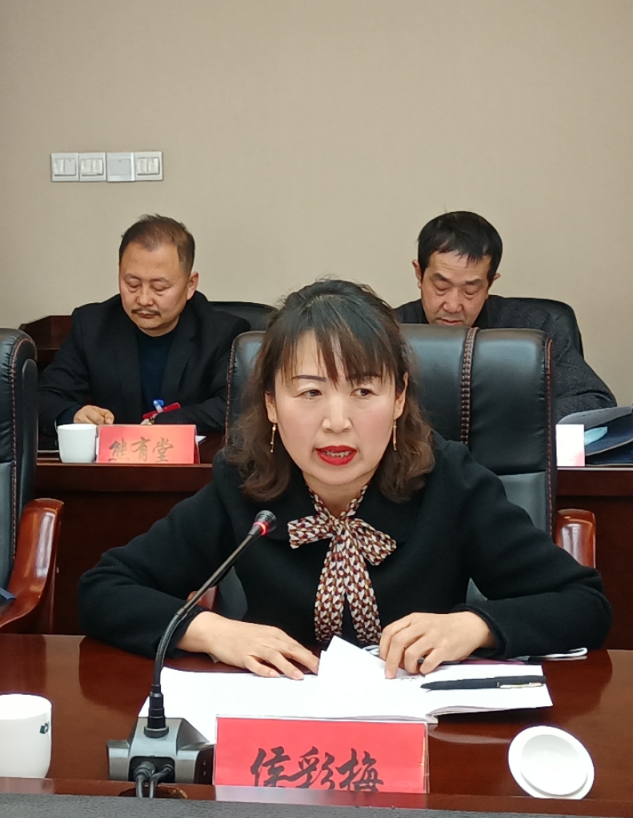 侯彩梅委員在討論發(fā)言時(shí)就規(guī)范農(nóng)村中小學(xué)體育教學(xué)提出了建議。