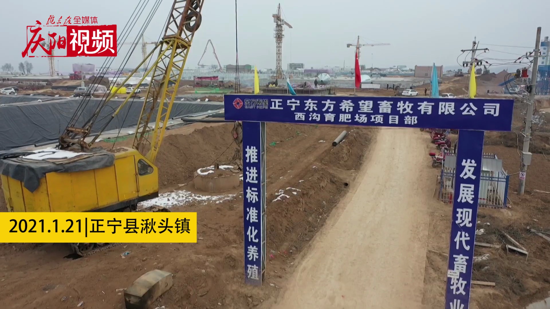 【新春走基層】年出欄將達6.25萬頭！正寧這個新建生豬育肥場了不得