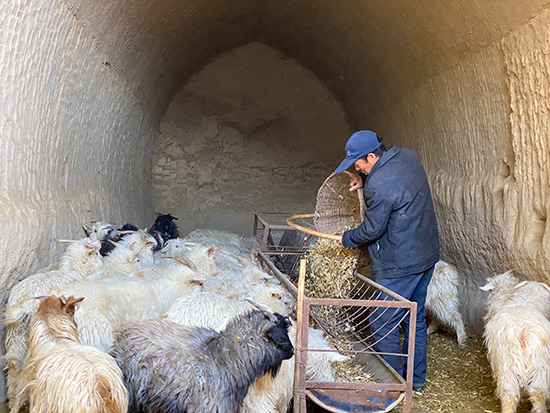 【新春走基層】從貧困戶(hù)到“致富帶頭人”，6年間他的生活迎來(lái)巨變！
