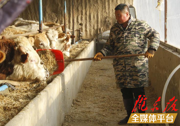 【新春走基層】車(chē)載賢：越奮斗越有勁