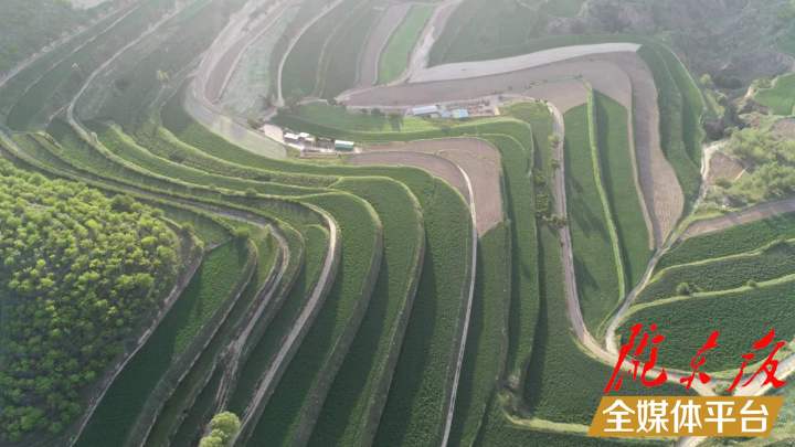 【脫貧攻堅(jiān)我來見證】帶領(lǐng)西溝整體脫了貧，是我人生最有意義的