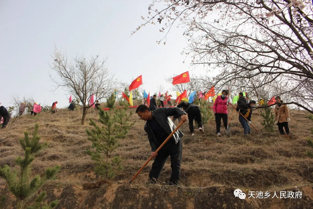 環(huán)縣天池鄉(xiāng)開展“學黨史、感黨恩、植新綠、美家園”義務(wù)植樹周活動