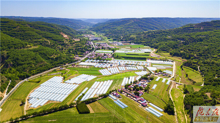 【奮進(jìn)新征程 建功新時(shí)代】體驗(yàn)農(nóng)趣、享受風(fēng)光、游覽古跡，這片瓜菜產(chǎn)區(qū)竟別有洞天