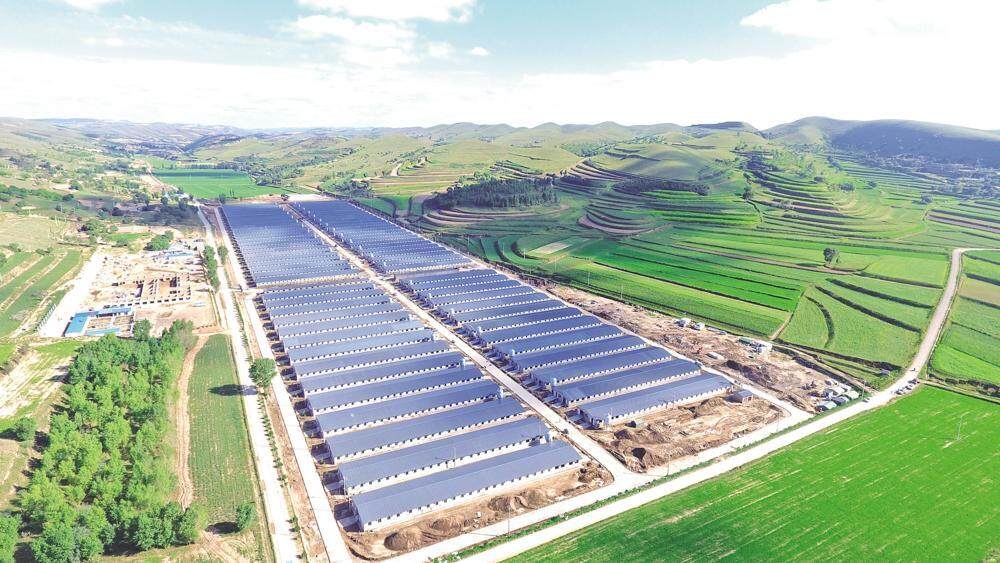 環(huán)縣雙廟20萬只肉羊育肥場俯瞰，