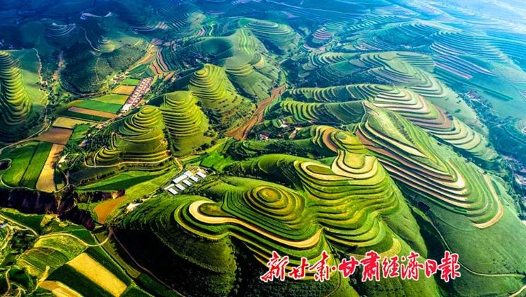 “羊”名立萬正當時——環(huán)縣念羊經(jīng)、興羊業(yè)、發(fā)羊財促進鄉(xiāng)村振興發(fā)展