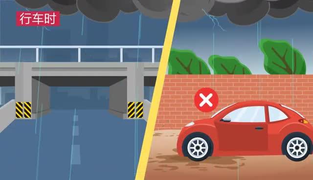 【MG動畫】一起來學(xué)《反有組織犯罪法》！