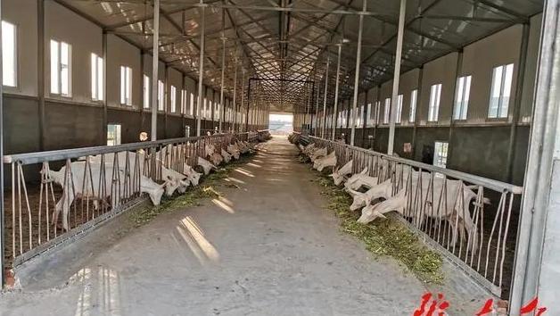 甘肅慶陽：大力發(fā)展鄉(xiāng)村產(chǎn)業(yè) 加快推進農(nóng)業(yè)現(xiàn)代化