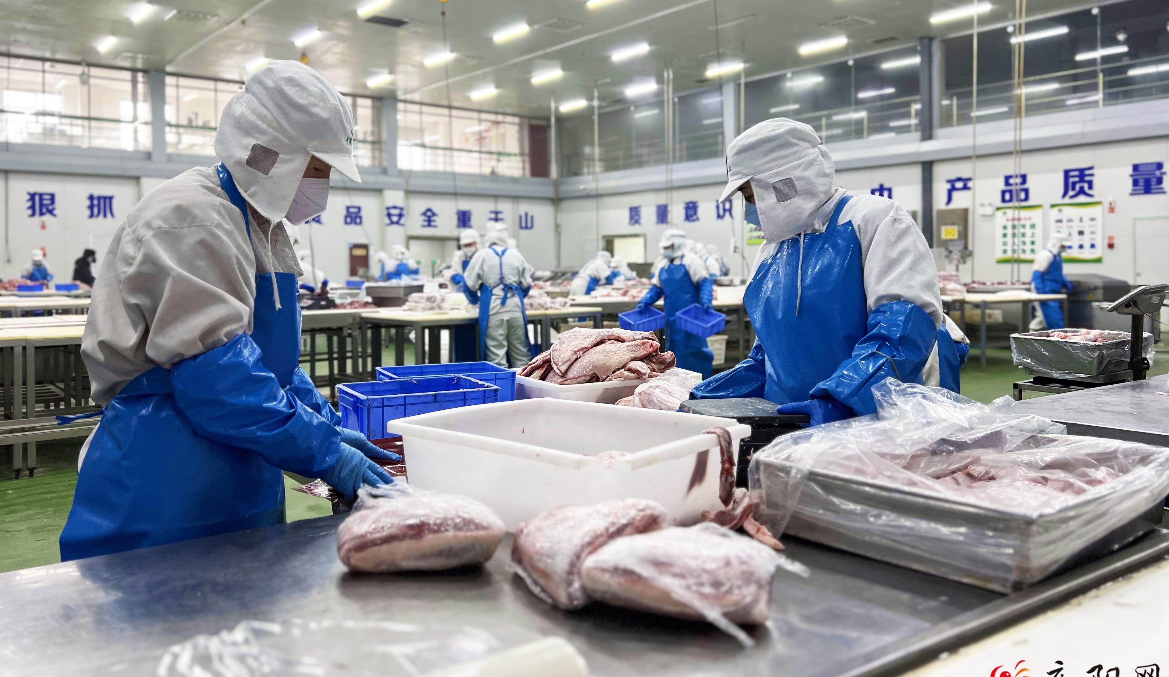 開(kāi)年勢(shì)頭好 羊肉生產(chǎn)忙