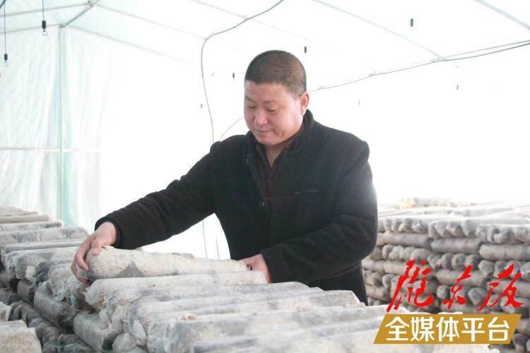 西峰區(qū)后官寨鎮(zhèn)司官寨村食用菌基地，工作人員在整理菌棒。本報(bào)記者 南力 攝