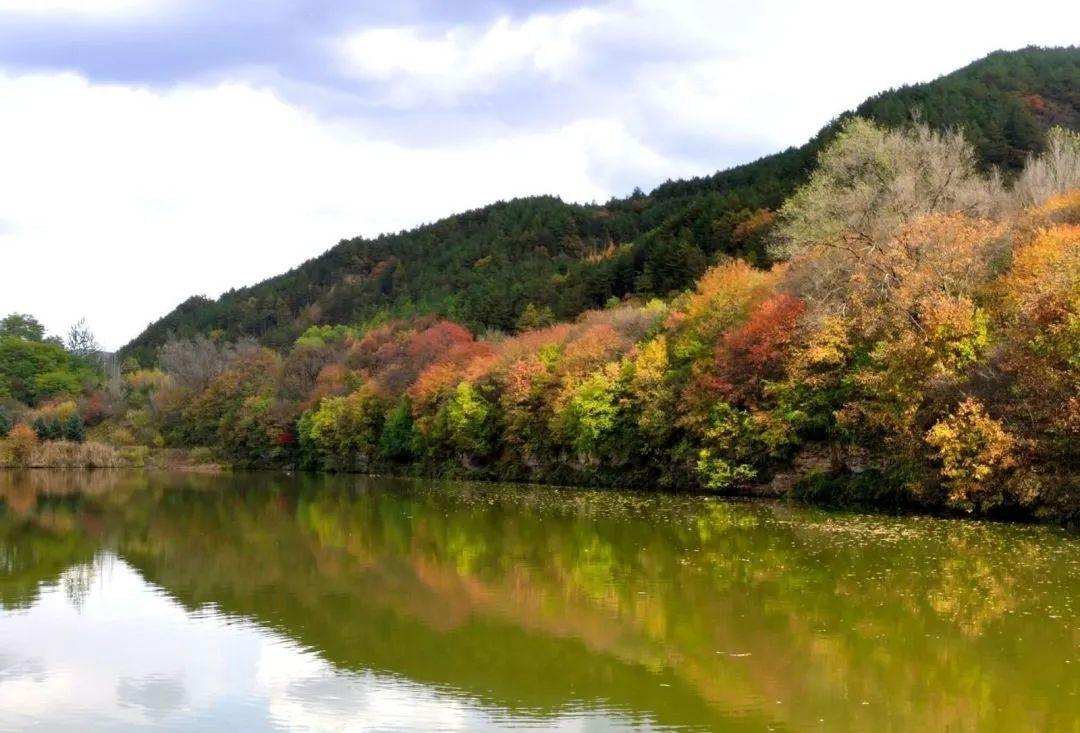 初冬，子午嶺上斑斕多姿，漫瀉大地