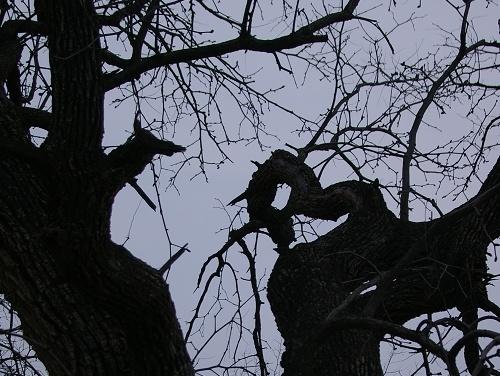 b79854a38582263ca3a56c193d1ad262_00290af2-19f6-410d-9bb9-1077190dd409.jpg b79854a38582263ca3a56c193d1ad262_00290af2-19f6-410d-9bb9-1077190dd409.jpg