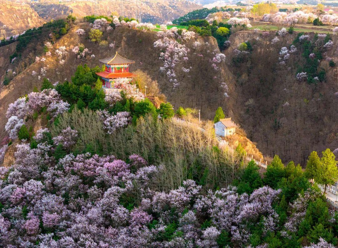 突然間，慶陽的這些地方就美成了這樣……