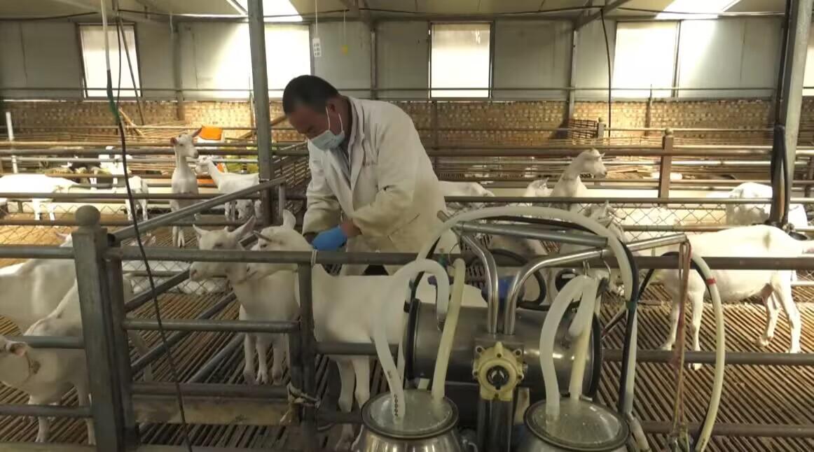 d909213208303bb11d419b1505aede2f_053dec0c010b406092390bb5fa872ed9.jpeg d909213208303bb11d419b1505aede2f_053dec0c010b406092390bb5fa872ed9.jpeg