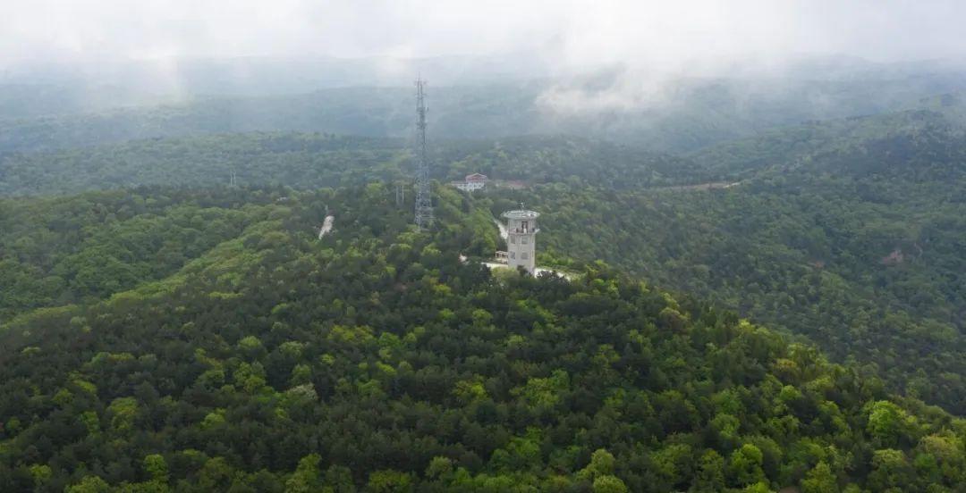 以慶陽夏天的名義，我們____