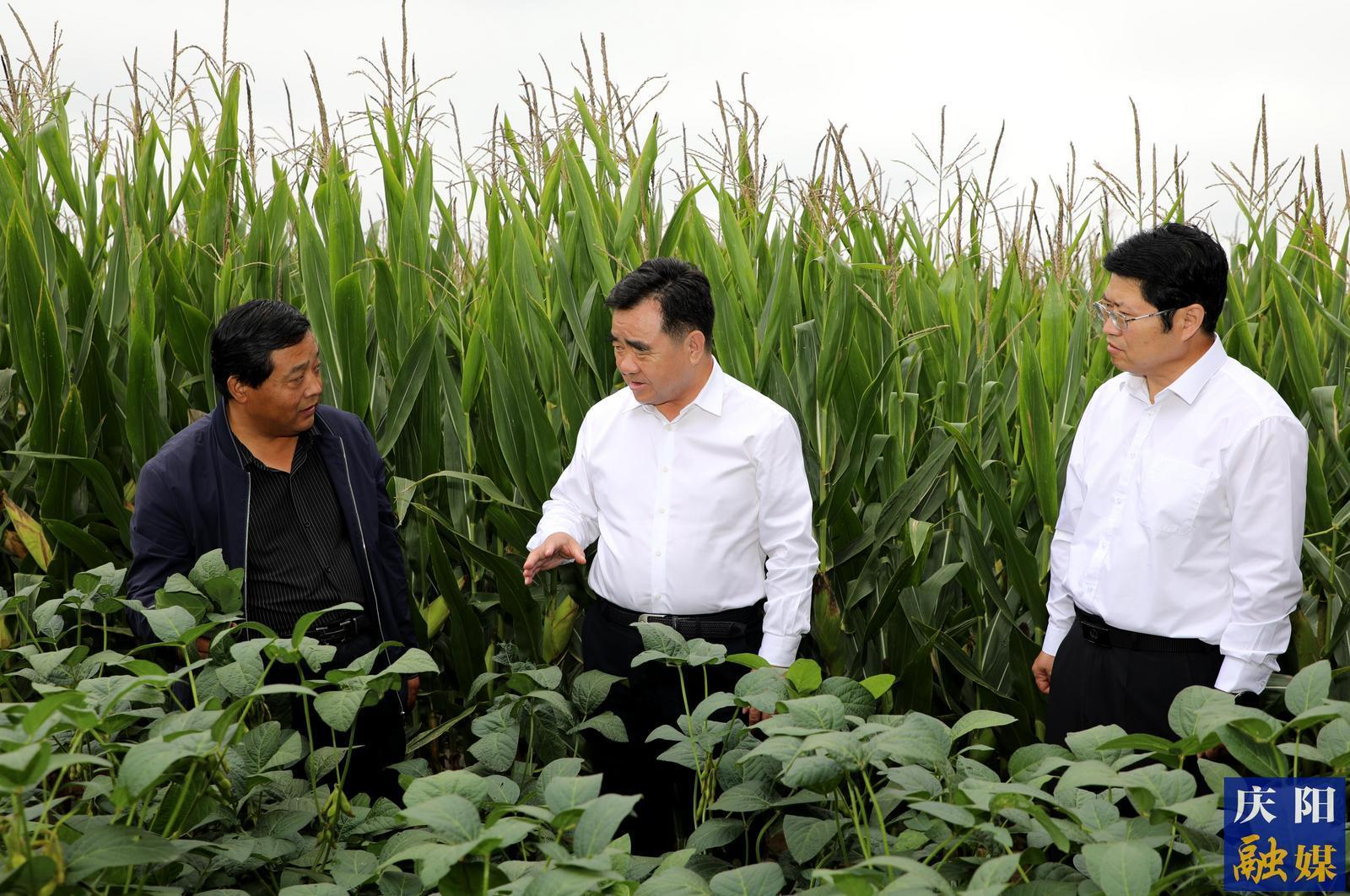 黃澤元在鎮(zhèn)原縣調(diào)研時強調(diào) 全力以赴強基礎惠民生提效能 為高質量發(fā)展培育新動能塑造新優(yōu)勢