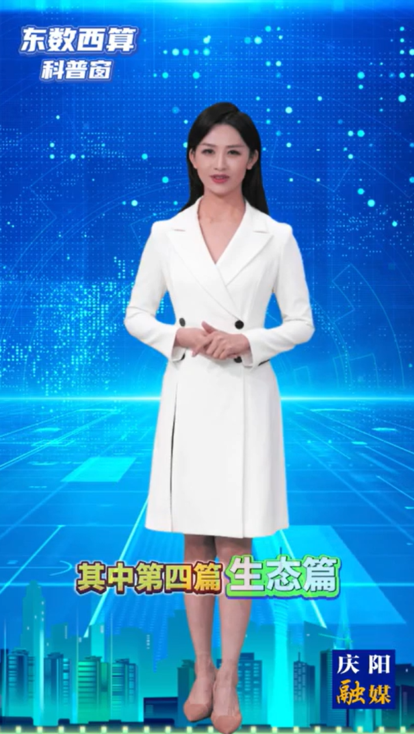 【東數(shù)西算科普窗(10)】慶陽“東數(shù)西算”工程的“1+2+N”產(chǎn)業(yè)生態(tài)體系是什么？