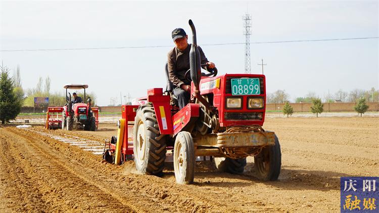 今年地咋種？來看權(quán)威指導(dǎo)——2025年慶陽市春播主要農(nóng)作物品種布局指導(dǎo)意見出臺