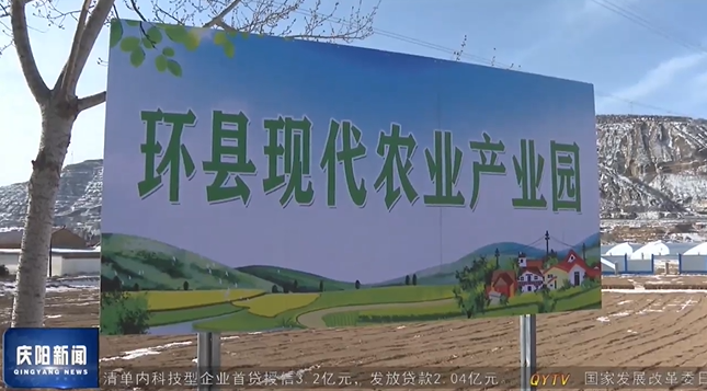 《慶陽新聞》2025年2月14日