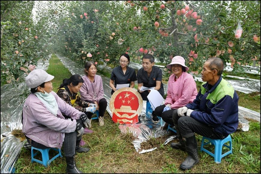 【法治慶陽】新“楓”正勁 向“治”而行——西峰區(qū)人民法院后官寨法庭創(chuàng)建“楓橋式人民法庭”工作紀實