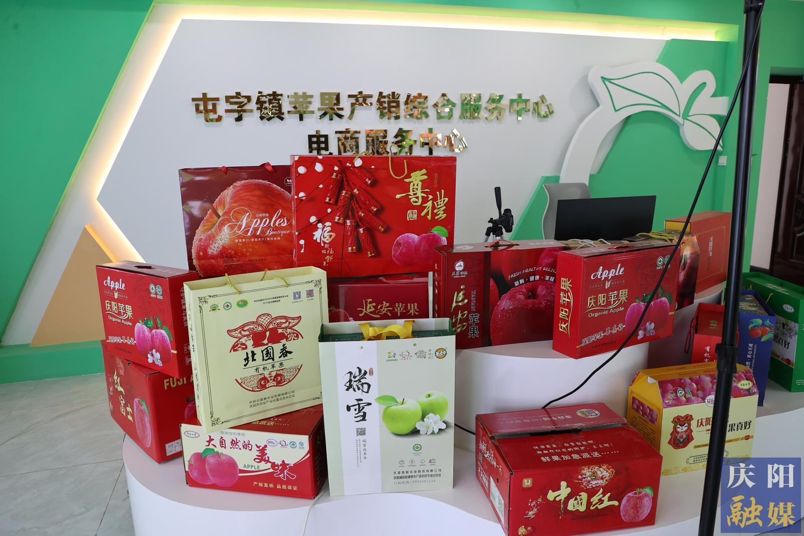 【攝影報道】鎮(zhèn)原縣甘旭果品專業(yè)合作社：蘋果全鏈發(fā)展 引領(lǐng)鄉(xiāng)村產(chǎn)業(yè)振興