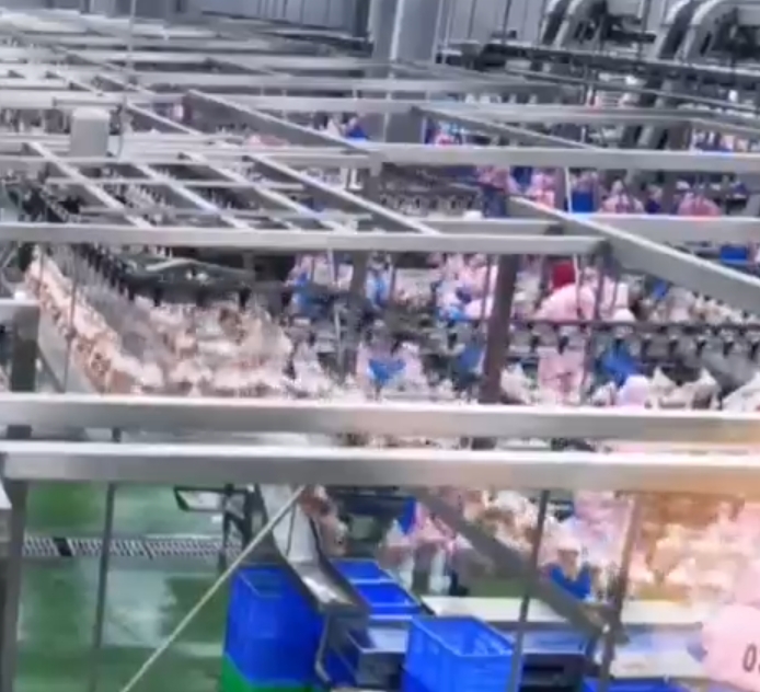 《慶陽新聞》2025年3月13日