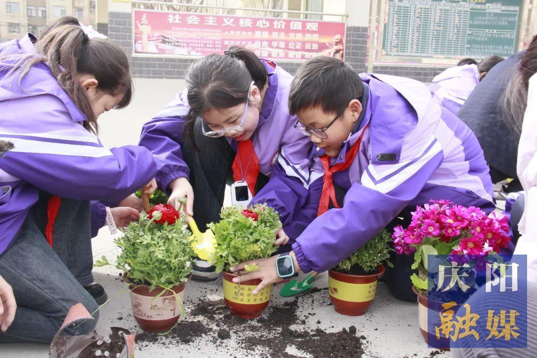 【點(diǎn)亮美好教育】“植”此青綠 共赴春天 西峰區(qū)新建小學(xué)開展植樹節(jié)主題活動(dòng)
