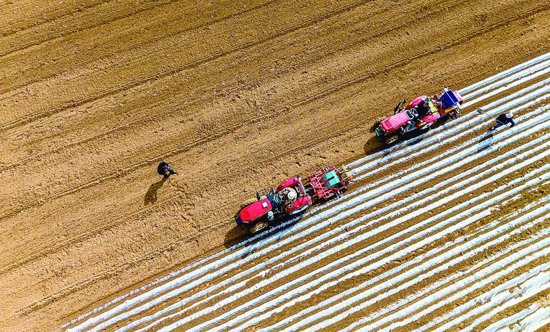 【攝影報道】人勤春來早 春耕備耕忙