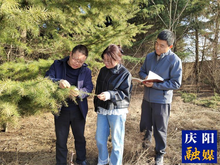 【報(bào)效祖國(guó) 建功西部】心懷生態(tài)夢(mèng)  追“綠”寫忠誠(chéng)  ——記慶陽(yáng)市林科所林草濕荒綜合治理研究室主任徐建民