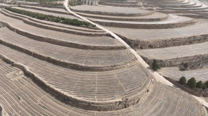 鎮(zhèn)原縣殷家城鄉(xiāng)：頂凌覆膜正當(dāng)時 春耕備耕搶先機(jī)