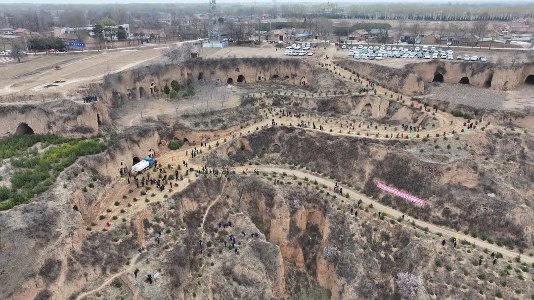 植綠正當(dāng)時(shí)！正寧縣直機(jī)關(guān)義務(wù)植樹火熱開展