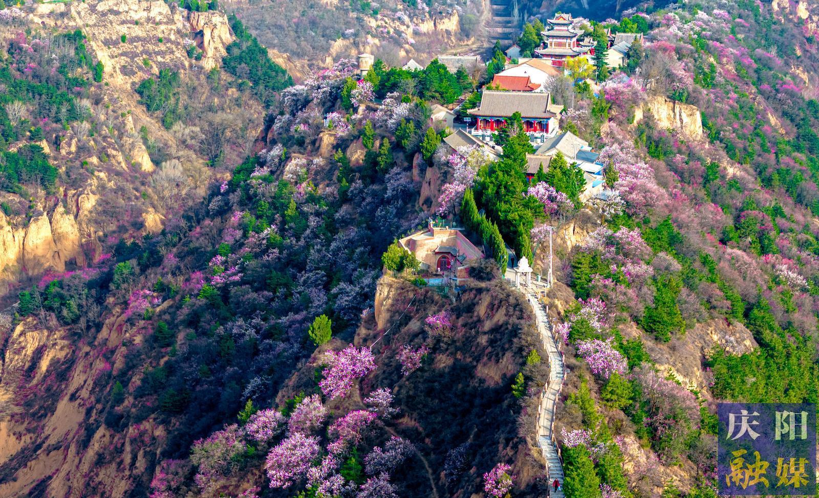 【攝影報道】遍地春色濃 踏青正當(dāng)時