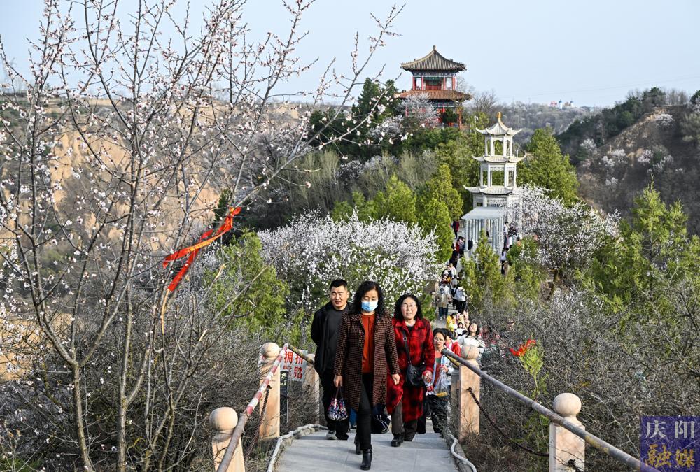 【攝影報道】春和景明 踏青賞春