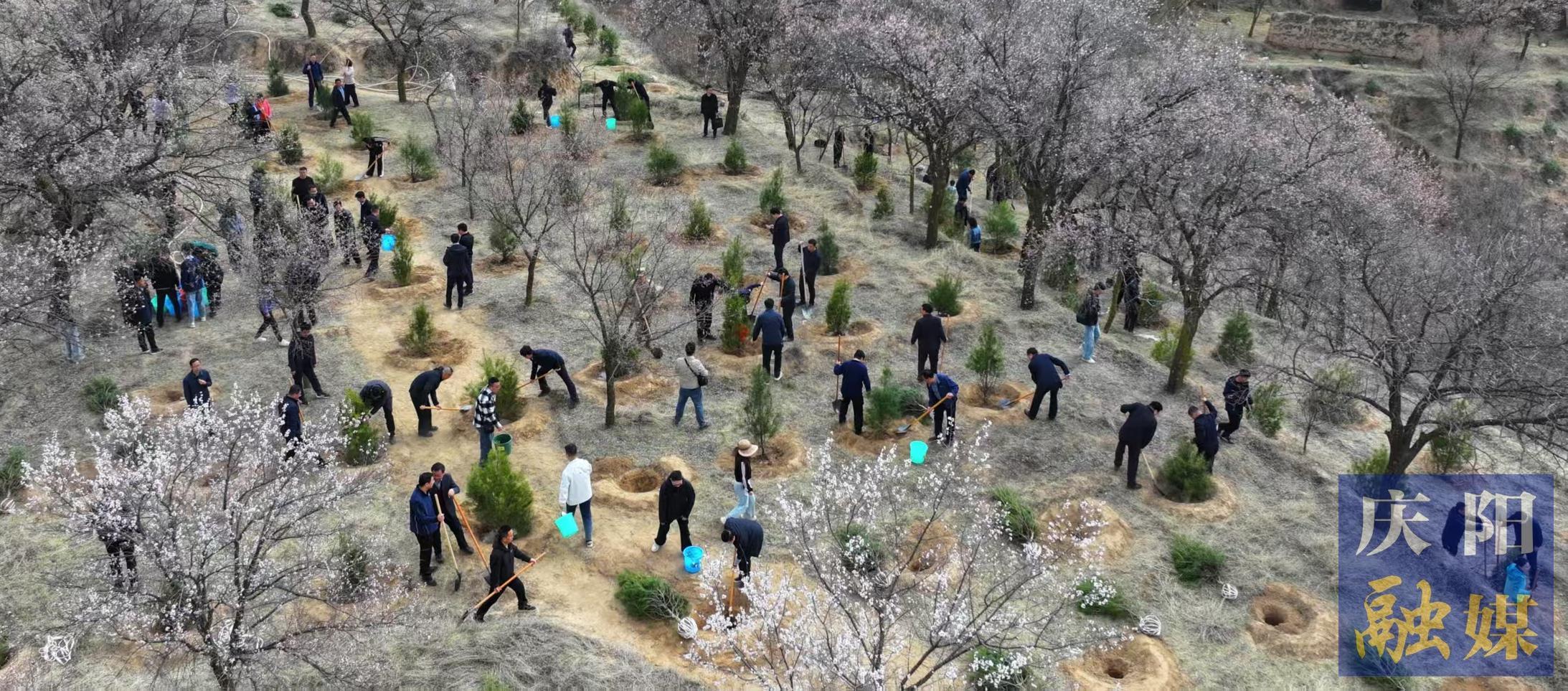 慶陽市市級機(jī)關(guān)義務(wù)植樹活動在西峰區(qū)舉行