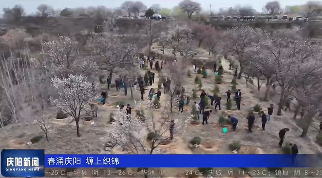 《慶陽(yáng)新聞》2025年4月14日