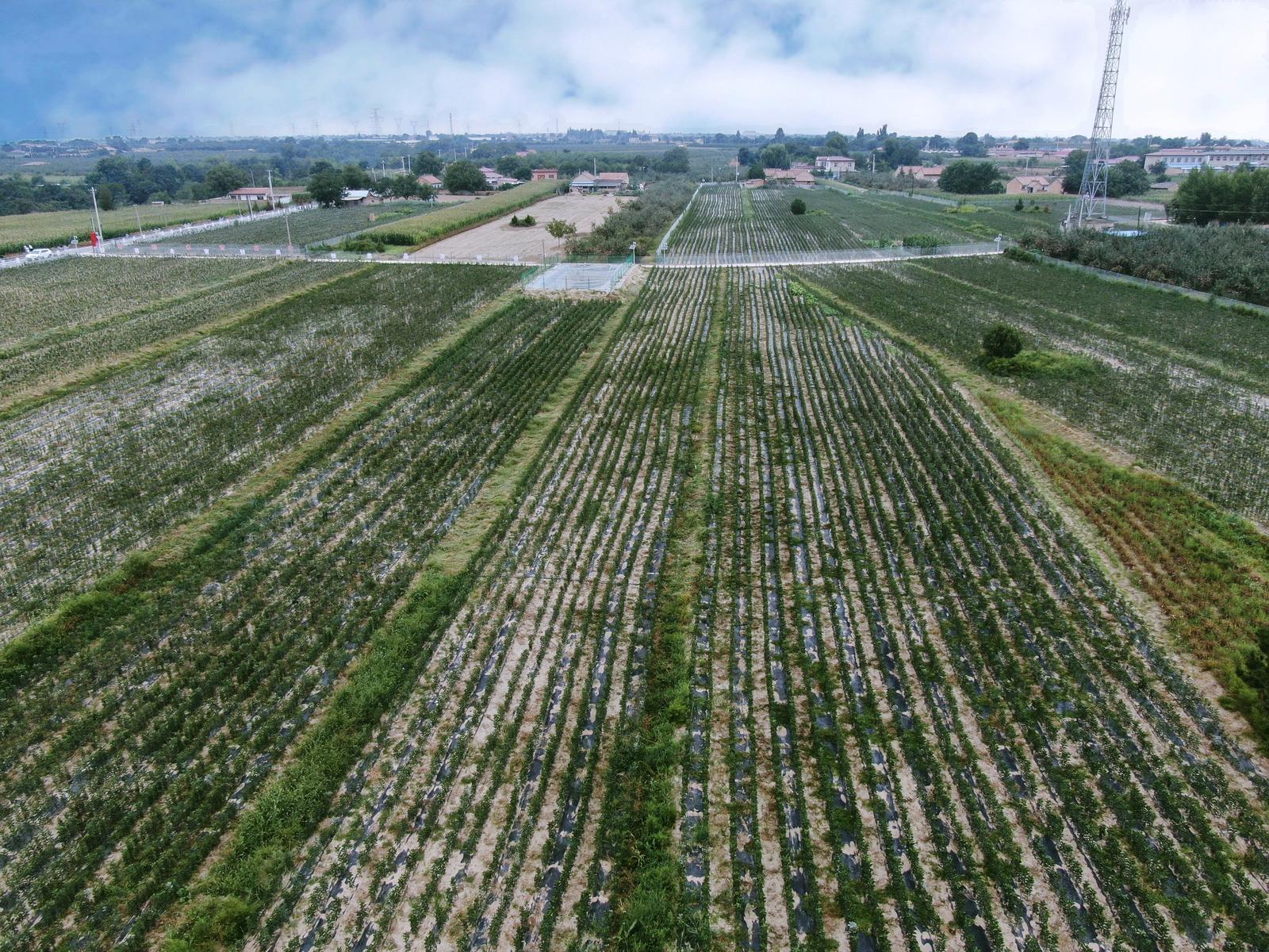 慶城白馬鋪鎮(zhèn)：聚力打造