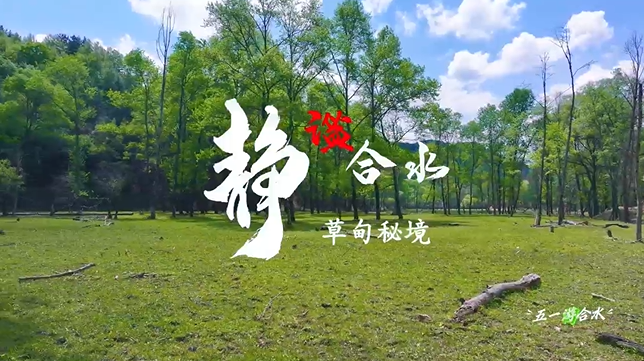 【五一游慶陽(yáng)】靜謐合水︱合水縣太莪鄉(xiāng)草甸秘境等你來(lái)打卡！