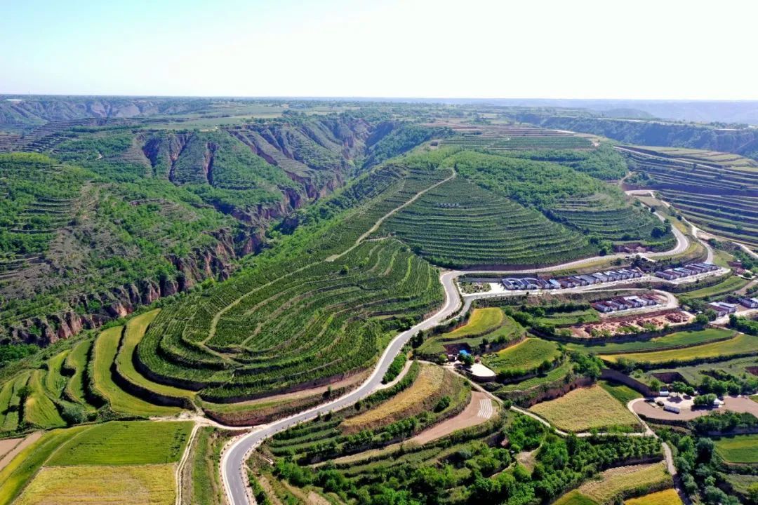 生態(tài)慶陽(yáng)丨董志塬上書寫綠色答卷