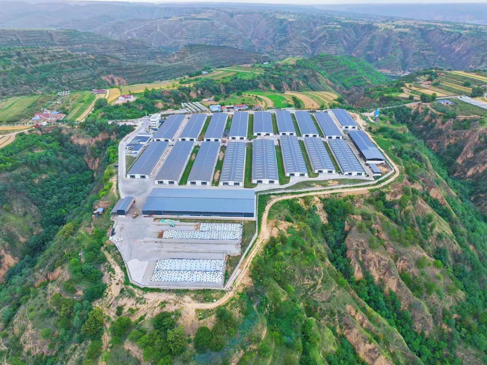 慶城：筑牢防疫堡壘 護航畜牧產(chǎn)業(yè)行穩(wěn)致遠