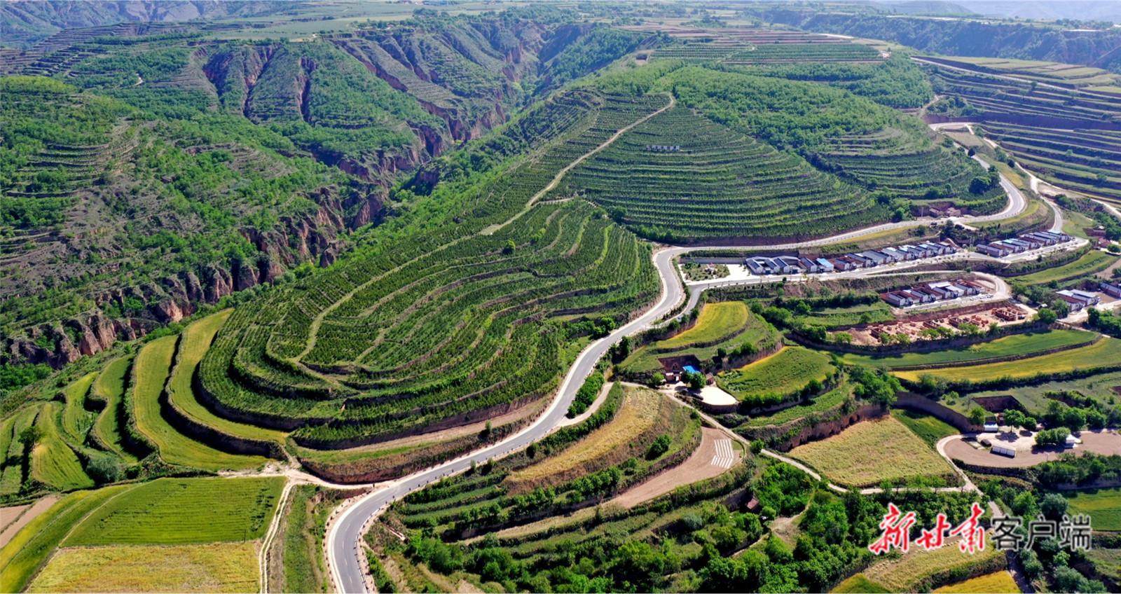 【建設(shè)美麗甘肅 推進(jìn)“三北”工程 構(gòu)筑“綠色長城”】萬里逐綠 譜寫“三北”工程新篇章——甘肅以系統(tǒng)治理筑牢西部生態(tài)安全防線