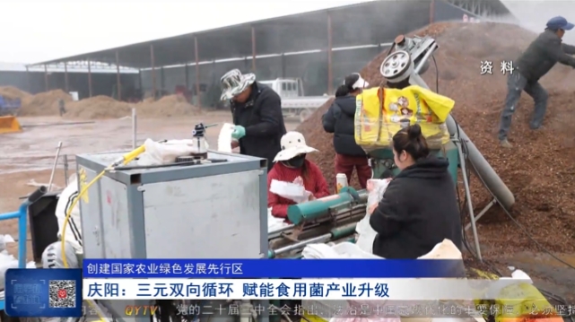 《慶陽新聞》2025年6月7日