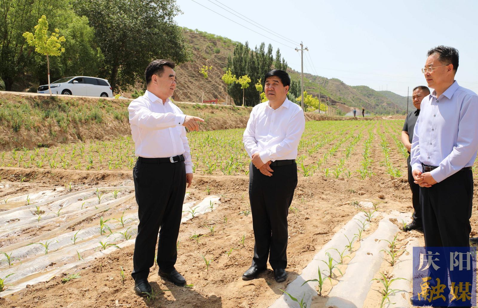 黃澤元在環(huán)縣調(diào)研時(shí)強(qiáng)調(diào) 有效解決突出問(wèn)題推動(dòng)學(xué)習(xí)教育走深走實(shí) 用足用好各類(lèi)水源最大限度減少旱情影響