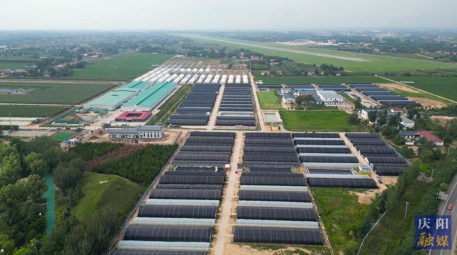 【攝影報道】小木耳種出“大產(chǎn)業(yè)”