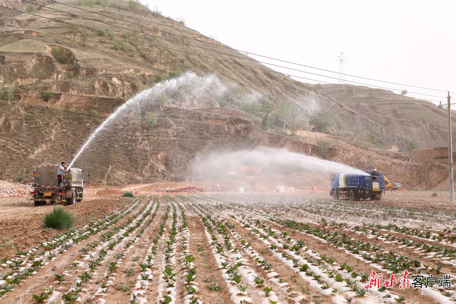 環(huán)縣：主動(dòng)作為 抗旱保糧